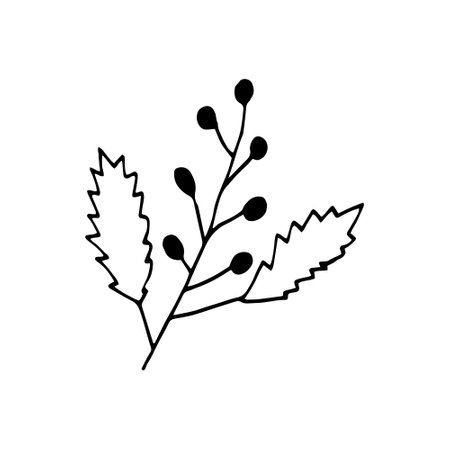 abstract plant icon. hand drawn doodle. vector, scandinavian, nordic, minimalism monochrome plant herbariumのイラスト素材
