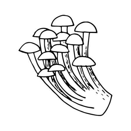mushrooms sketch hand drawn doodle. for design card, icon, poster, vector, monochrome. nature plant foodのイラスト素材