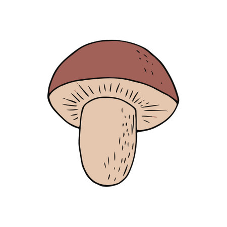 boletus mushroom sketch hand drawn doodle. icon, vector, monochrome. nature plant foodのイラスト素材