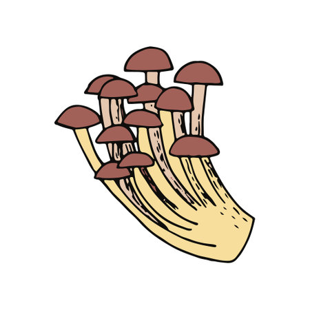mushrooms sketch hand drawn doodle. for design card, icon, poster, vector, monochrome. nature plant foodのイラスト素材