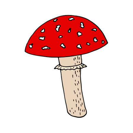 fly agaric icon, sticker, poster, card. sketch hand drawn doodle. vector. mushroom forest poisonous inedibleのイラスト素材