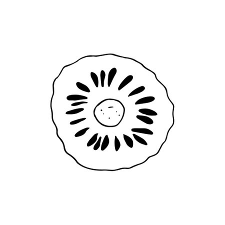 noni fruit slice hand drawn doodle. vector, minimalism, scandinavian, monochrome, nordic, sketch. icon sticker label isolated superfood foodのイラスト素材