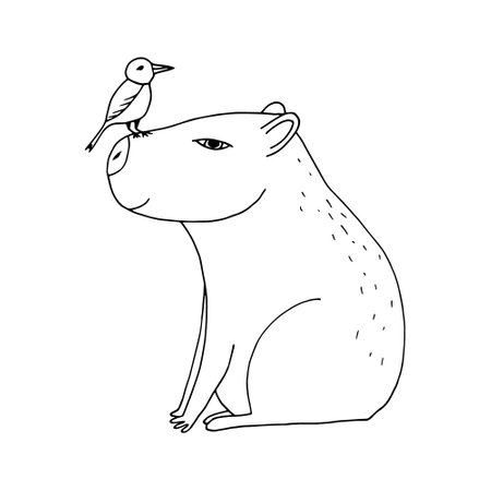 capybara with bird hand drawn in doodle style. cute animal in a simple line drawing. suitable for icon, sticker, decor. minimalism, Monochrome, Scandinavianのイラスト素材