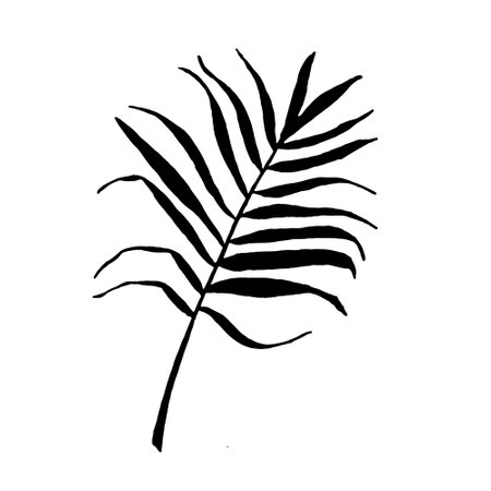 vector silhouette of tropical leaf palm tree element for design. postcard, poster, icon, decor. exotic, tropicsのイラスト素材