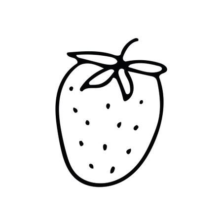 Strawberry hand drawn in doodle style. berry, fruit food. single element for design sticker, icon, poster, card. Scandinavian simple minimalism monochrome liner.のイラスト素材