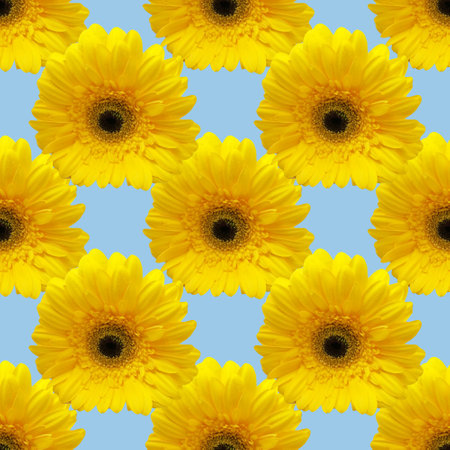 seamless pattern collage from photo of yellow gerbera. regular repeat flowers background. cards, textile, fabric, wrapping paperの写真素材