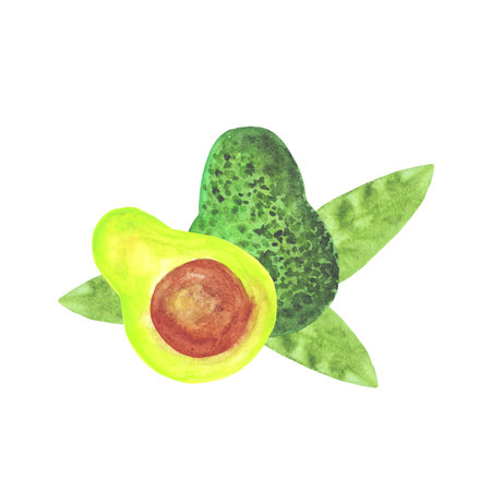 watercolor avocado and leaves composition isolated on white background. Template for greeting card,...