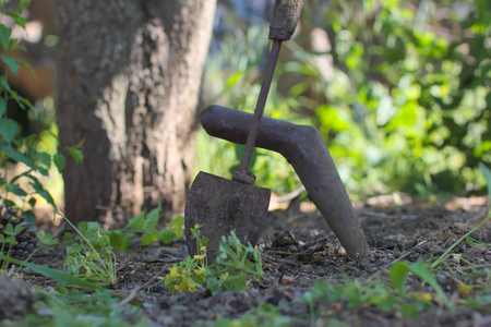 garden livedの写真素材