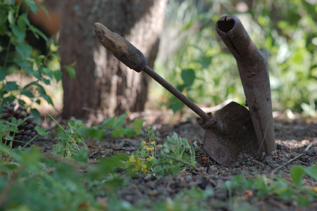 garden livedの写真素材