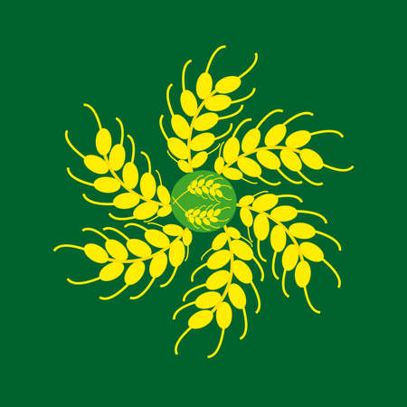 Ears of barley on a green background. Vector illustration.のイラスト素材