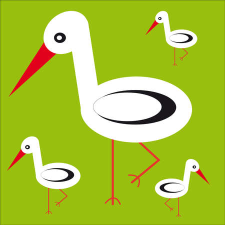 Storks family on green background. Vector illustration.のイラスト素材