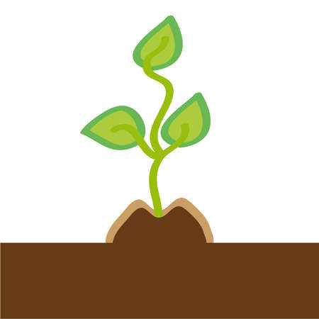 Small plant on white background. Vector illustration.の写真素材