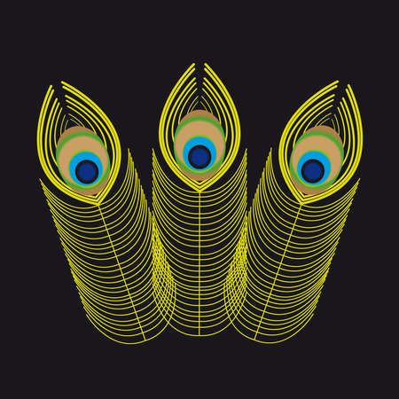 Peacock feathers on black Background. Vector illustration.のイラスト素材