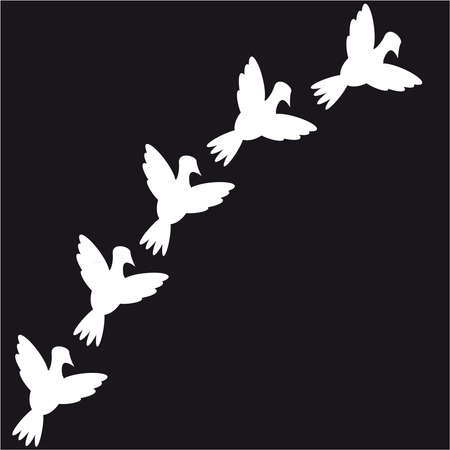 Doves on black background. Vector illustartion.のイラスト素材