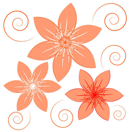 Orange flowers on white background. Vector illustartion.のイラスト素材