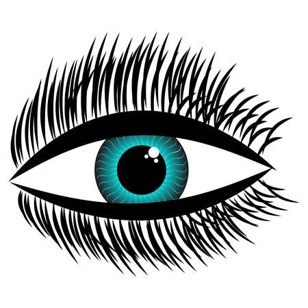 Eye on white background. Vector illustration.のイラスト素材