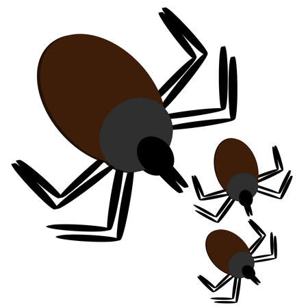 3D tick isolated on white background. Vector illustration.のイラスト素材