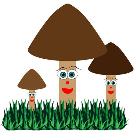 Mushroom isolated on white background.のイラスト素材