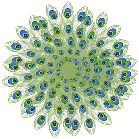 Peacock feathers on white background.のイラスト素材