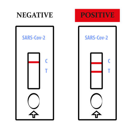 Antigen test - positive and negative resultのイラスト素材