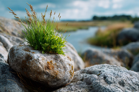 Grass clump finding life on a stone with a blurred river and landscape backgroundの素材