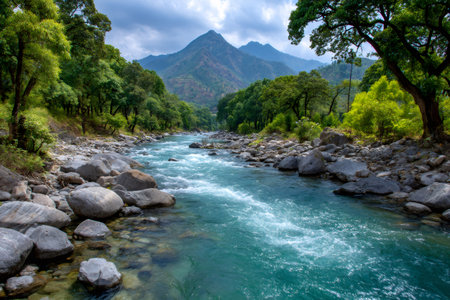 River water flowing over rocks through a lush green forested mountain landscape under a cloudy skyの素材