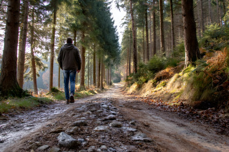 Man walking alone on a winding forest path, finding peace in the tranquil natureの素材