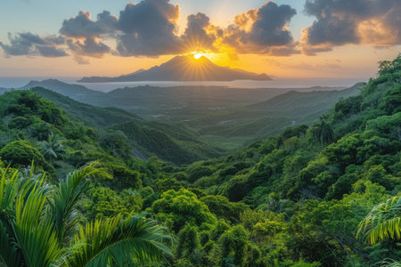 Guadeloupe jungle at sunset. Beautiful nature.の素材