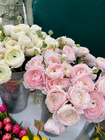 Flowers from market Naplavka in Prague
