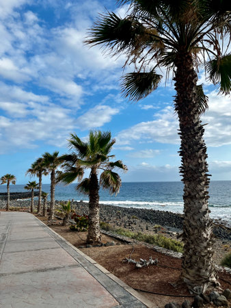 Green palm trees along a boulevard in Spain, Tenerife. Near the ocean and pyramid stones. Balance