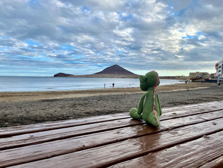 Back view from plush, knitted dinosaur. On the beach. Near oceanの写真素材