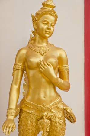 Golden ginnareeの写真素材