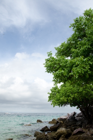Natural Creatorの写真素材