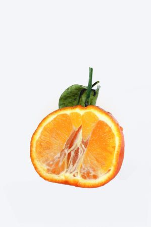 Tangerine (Citrus reticulata) cut against white backgroundの写真素材
