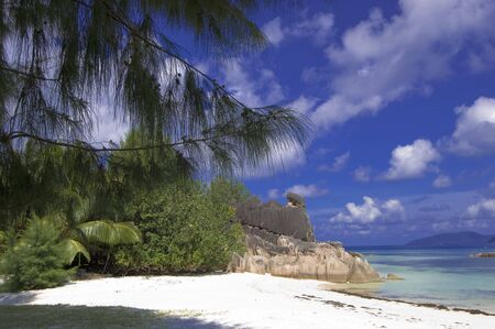 Beach of Cousin island  located two miles from Praslin, Seychellesの写真素材