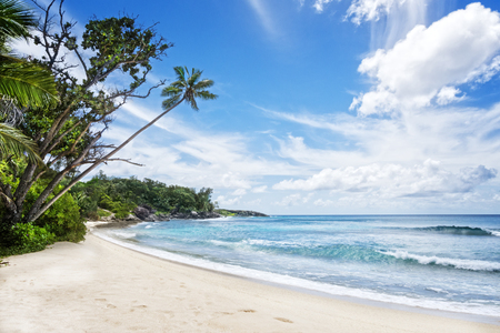 Deserted tropical beach , Silhouette island, Seychelles, Africaの写真素材