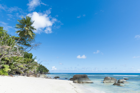 white sand beach under blue skies, Silhouette island, Seychellesの写真素材