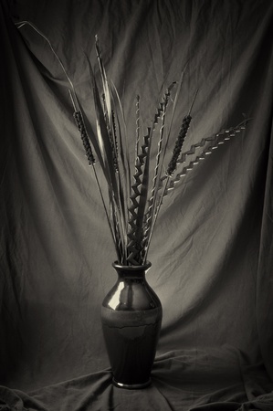 A still-life image of dried plants in a large vase in sepia tone.の写真素材
