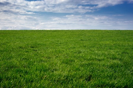 A grassy green field stretches to the horizon under acloudy blue sky.の写真素材