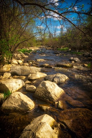 A small, rushing brook flows around large boulders in the forest 