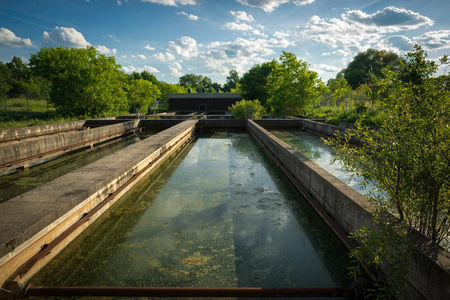 The slime covered sedimentation tanks or pools of an old abandoned water sewage treatment facility.の写真素材