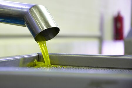 Fresh virgin olive oil production at a cold-press factory after the olive harvesting, Crete, Greece.の写真素材