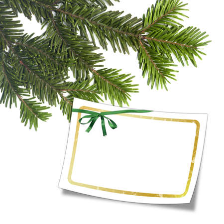 Card with christmas tree and white frameの写真素材