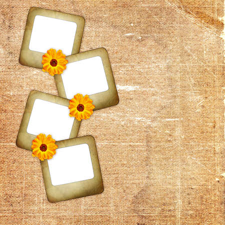 Old background with slide and flowersの写真素材