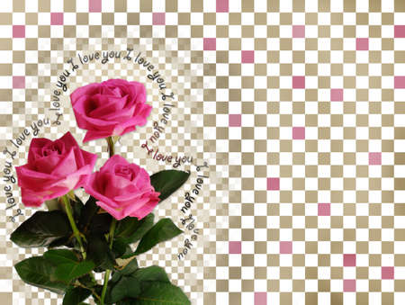 Card with pink roses on abstract backgroundの写真素材
