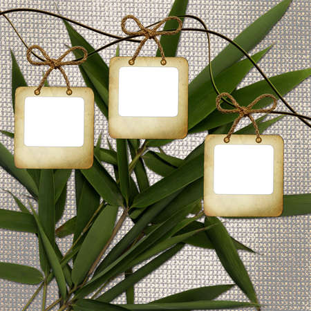 Old slides on background with bamboo leavesの写真素材