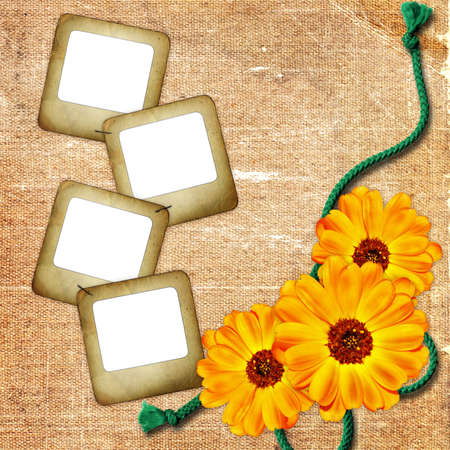 Background with photo slide, flowers and rope
の写真素材