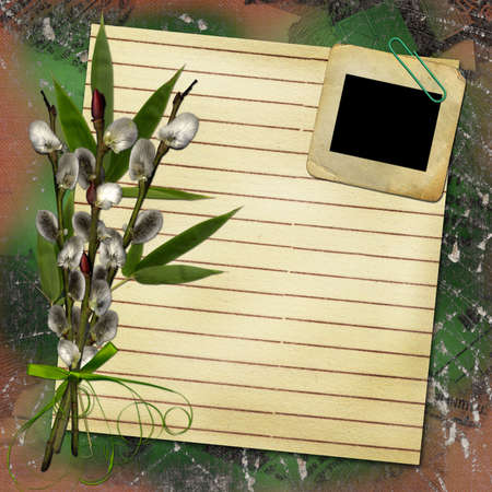 card for design with sheet and willowの写真素材