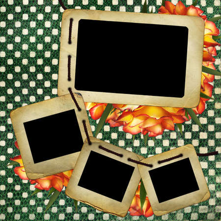 Old slides for photo with orange rosesの写真素材