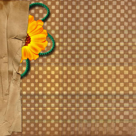 Card with flowers and border for design
の写真素材